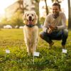 Electric Dog Fence System With Collar & Wire / Collar Receiver Only / Wire Only / Wire Pro Only, Options