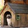 Ultrasonic Anti-Barking Device Rechargeable Auto Dog Bark Control Deterrent Box Training Device IPX4 Waterproof with 3 Frequency Max 32.8Feet Sensing